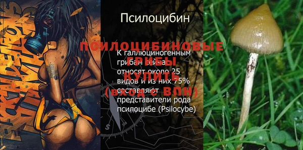 a pvp Абаза