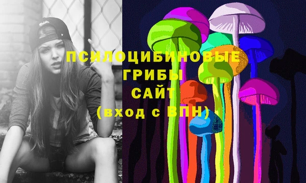 мдпв Алзамай