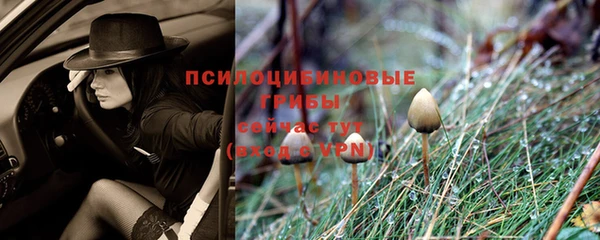 героин Алексин