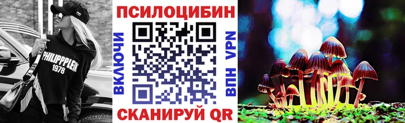 Галлюциногенные грибы Psilocybine cubensis что такое наркотик Яхрома